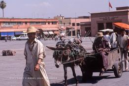 Image du Maroc Professionnelle de  La fameuse place Jemaa El Fana de Marrakech, presque vide durant la période où le soleil est au zénith, le chapeau de paille est presque une nécessité pour certains résidents de la ville touristique du Maroc, Jeudi 19 Mai 1988. (Photo / Abdeljalil Bounhar) 